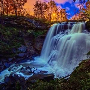 Meet your Posher, Ann marie